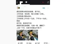 月薪六千招聘孙悟空，你愿意去当这个猴子吗？图片