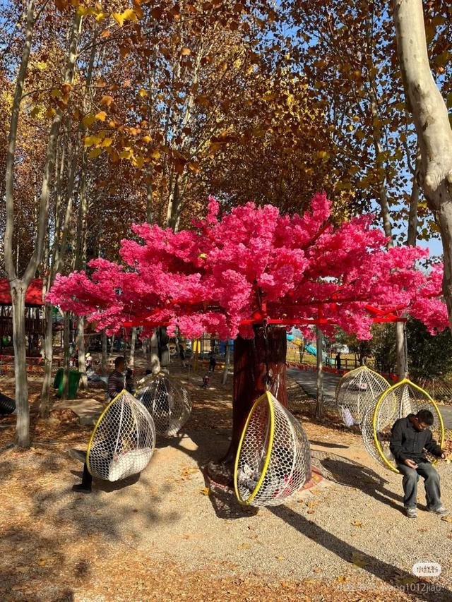 江宁初冬亲子“三件套”→