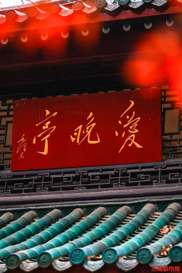 我是刘贵香 |  岳麓山上