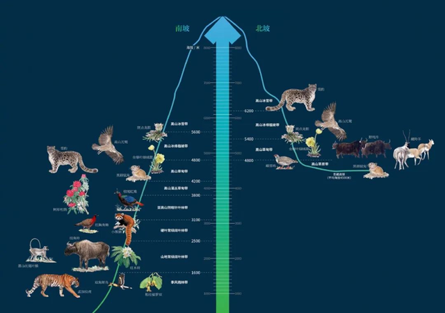 科考旅行｜秘境山南生态考察报名