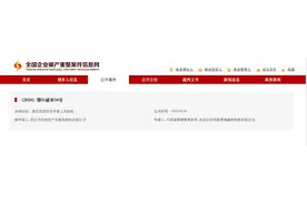 武汉当代集团被申请重整，曾多次入选民企500强图片