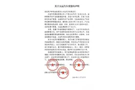 大运汽车开启重整，小众新势力很难再远航图片