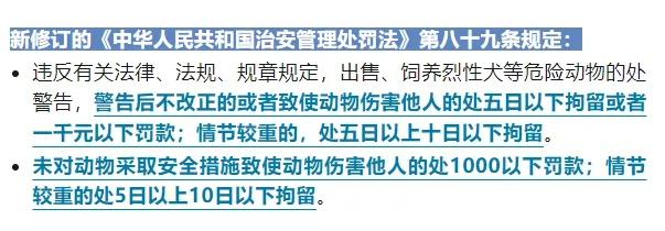 "史上最严"下月实施！这个行为最高拘留10天 罚1000元
