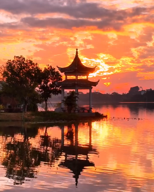 增城荔湖上演“天空之镜”，日出红霞美成仙境！