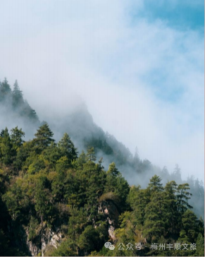 又火了！丰顺铜鼓峰“四大”景观，到底有多美？