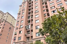 公共区域挪作私用？洞泾镇：违法行为已叫停，限期整改！图片