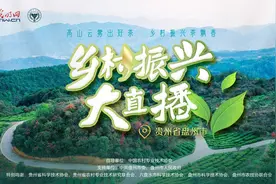 直播预告｜高山云雾出好茶，乡村振兴茶飘香图片