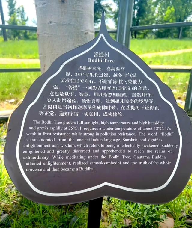 跟着这条线路，周末赏秋去！