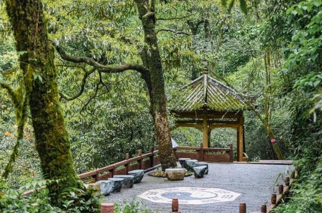 【直播倒计时1天】！你对夏日的所有幻想都在瓦屋山！