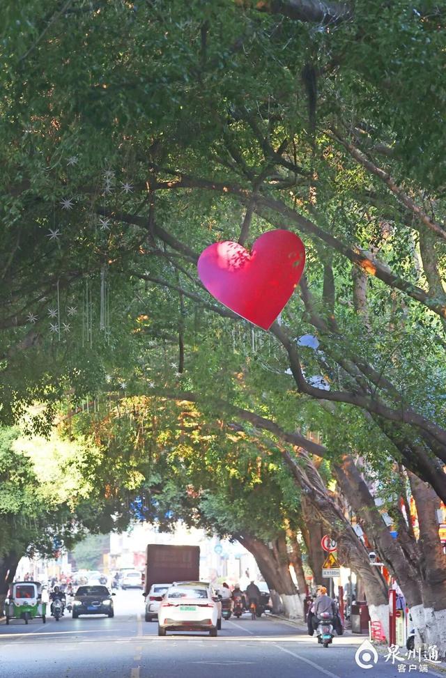 泉州这些“爱心树”，你打卡了吗？