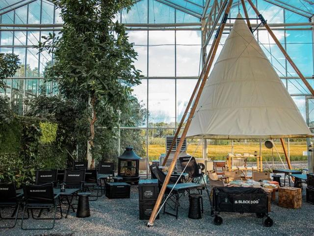 稻浪+咖啡的限时CP，这份美景错过等一年