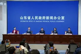 山东公共信用报告行政管理专版如何应用？三个要点告诉你图片