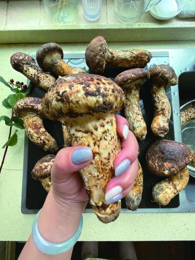 在菜市场，遇见一个地方的灵魂