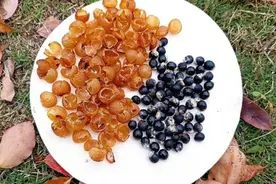 杭州老底子不少人都这么干！地上一捡，回家一搓，钱都省下了图片