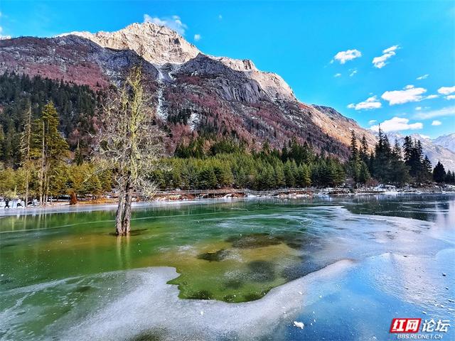 听，雪落下的声音！这里是四姑娘山的冬天