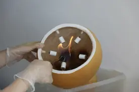 葫芦里卖的什么药？中医“健康秘诀”藏在这里~图片