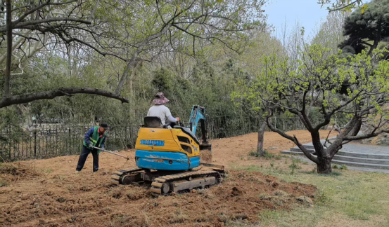 焕新归来！沂水东皋公园：四季有景夜有光 古塔生辉美出圈