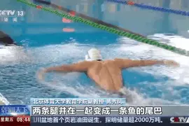 蝶泳仰泳蛙泳自由泳 游泳比赛中的四种泳姿有何区别？图片