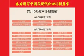 四川发布25条产业新赛道名单图片