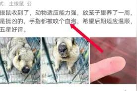 别买！别养！别碰！普通家庭难以防控，央视紧急提醒→图片