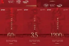 天津绿城·水西雲庐走出独立行情 高品质交付加速兑现产品力图片