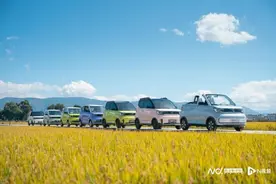 出口欧美的四轮“老头乐”国内上路难，中小企业呼吁出台相关标准图片