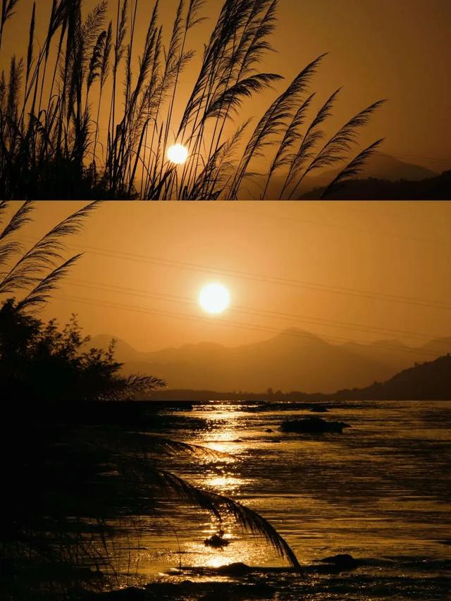 周末露营天花板，来福安“野” 一天！