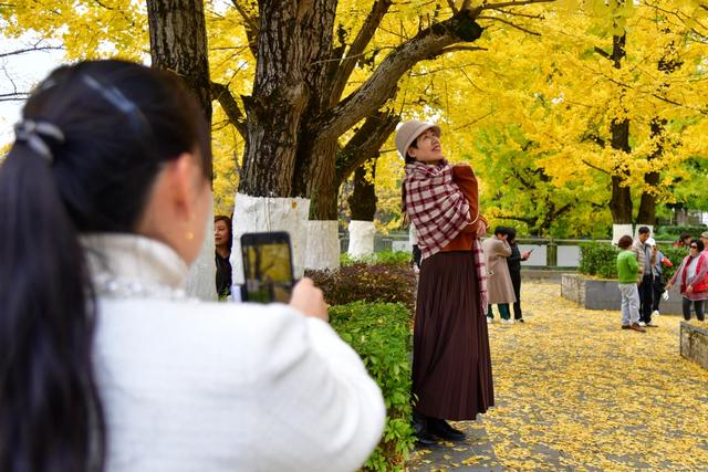 观山湖区:绿脉织城 四季变幻 绘就宜居新画卷