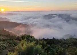 福鼎这里藏着一座“四季画廊”……