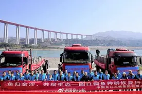 最大规模！超70万尾圆口铜鱼放归金沙江图片