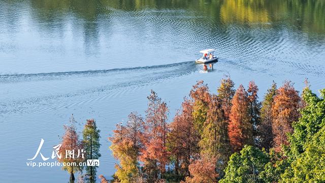 广西南宁：花花大世界景区冬景如画醉游人