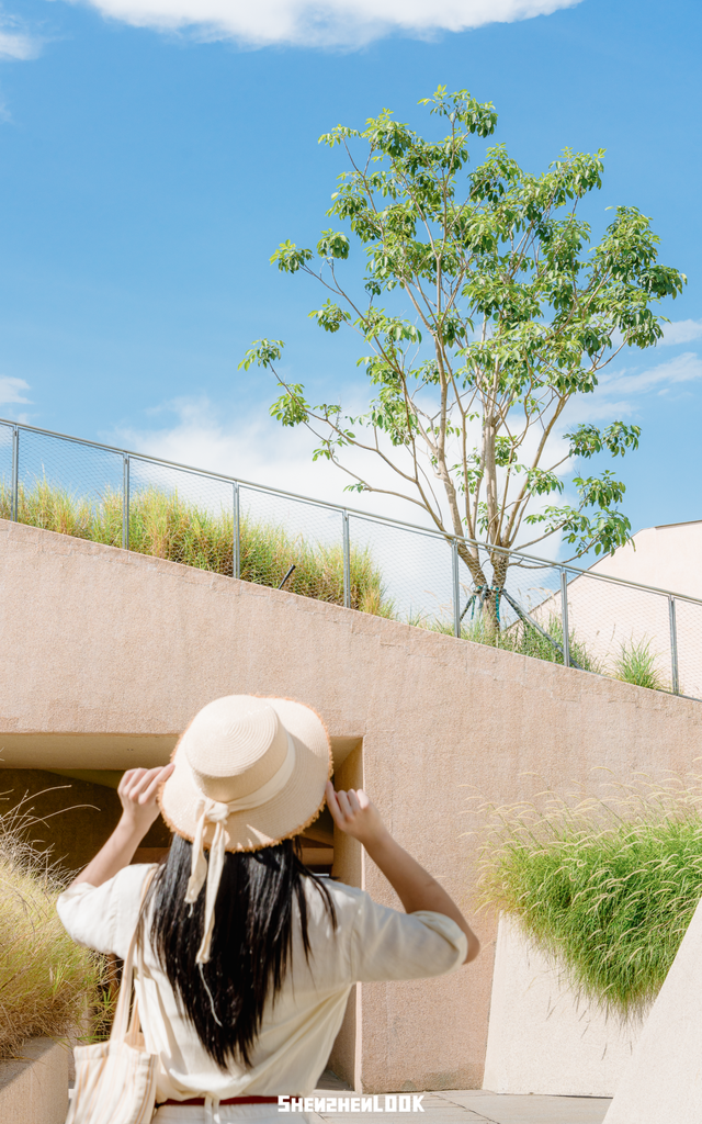 “看牛看海看夜景，深圳骑行路线精选”