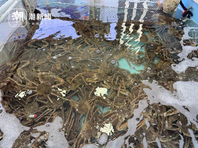 俄罗斯游客可免签入境，吉林珲春边境游做好接流量的准备