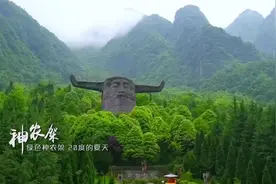 热爆了！谁是你心中的清凉NO.1图片