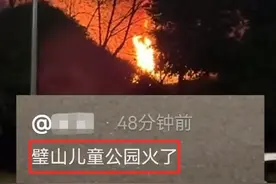 “重庆璧山儿童公园着火了”？当地回应图片