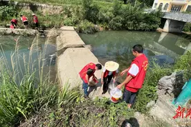 均坪镇：常抓不懈促整治 久久为功焕新颜图片
