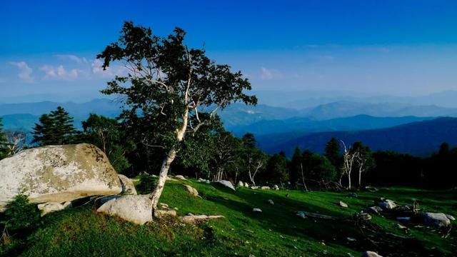 乘着高铁游白山 | “百区百景”打卡攻略之临江市老秃顶子景区