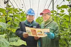 孟州：“电”亮农家丰收梦图片