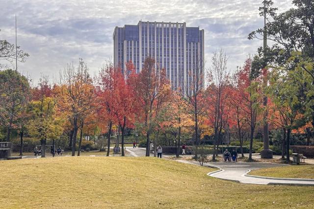 别再等！宝山这里已把秋日色阶拉满