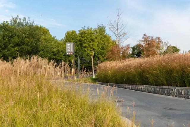 秋风引路入曲江,芙蓉金叶映红墙