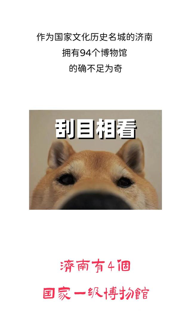 济南博物馆爆发了！