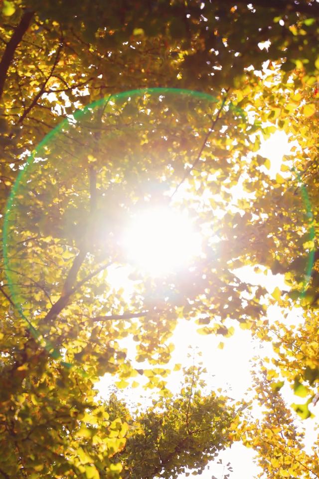 西安秋日citywalk天花板,来啦!