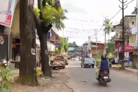一名14岁男孩死亡！印度又现这个病毒，能攻击人的肺和大脑，感染后死亡率高达75%图片