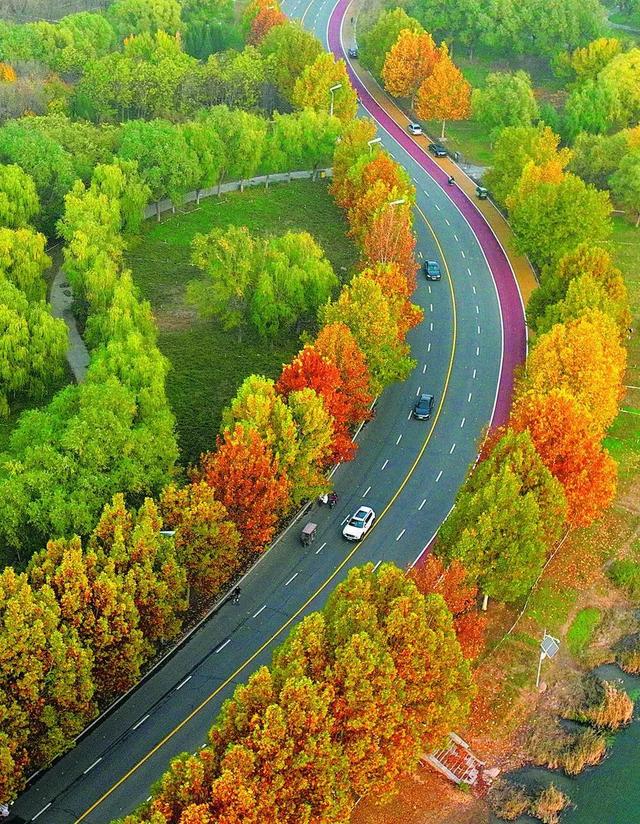 美到窒息！初冬的石家庄滹沱河畔，随手一拍便是大片