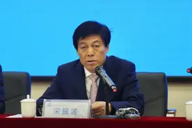 宋振波，主动投案图片