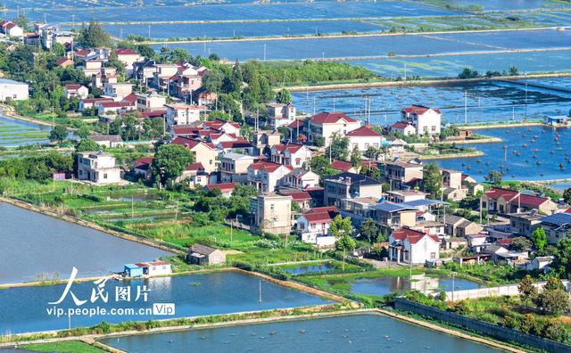 安徽当涂：绘就江南水乡生态新画卷