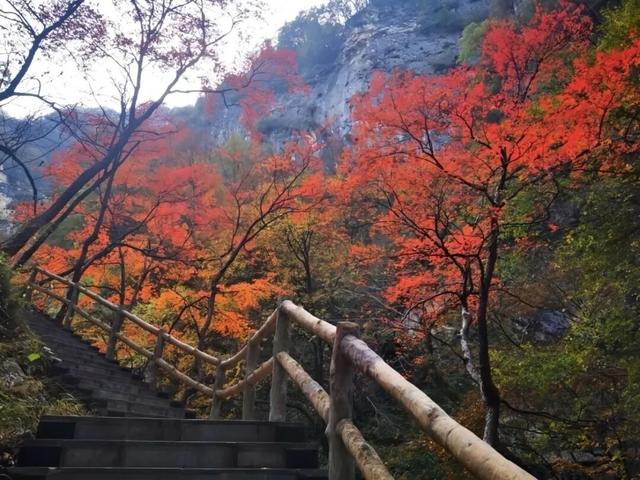 西安上新！高颜值秋景，正在加载！