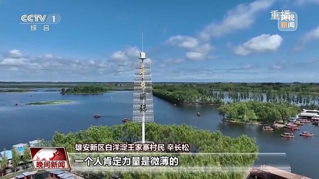 看见美丽中国丨共同守护一泓清水 在藕花深处看生态蝶变