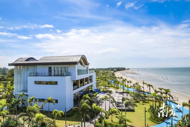 绿廊连碧海 公路展诗卷 | 茂名滨海漫游图鉴