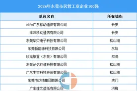 2024年东莞市民营工业企业100强图片